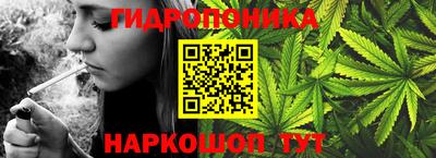 spice Брянск