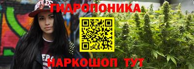 spice Брянск