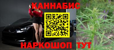 spice Брянск