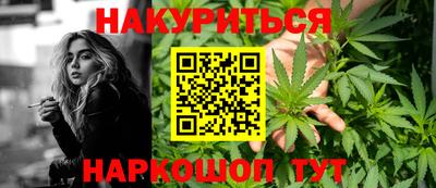 spice Брянск